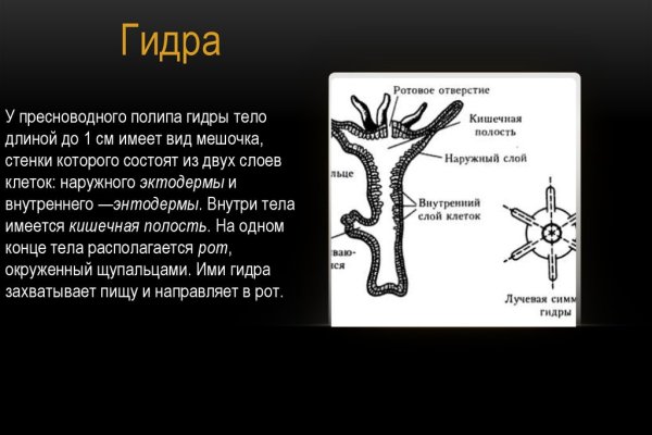 Через какой браузер можно зайти на кракен