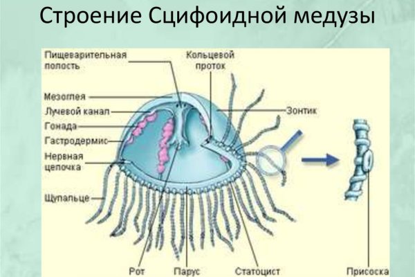 Кракен оф сайт