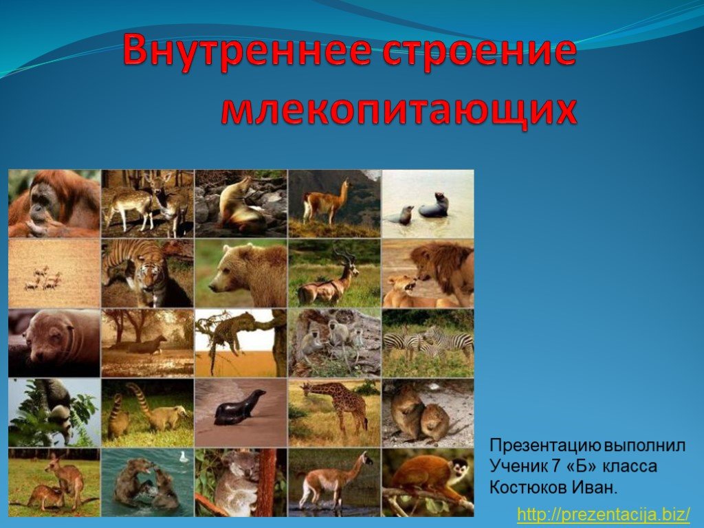 Купить наркотики через кракен