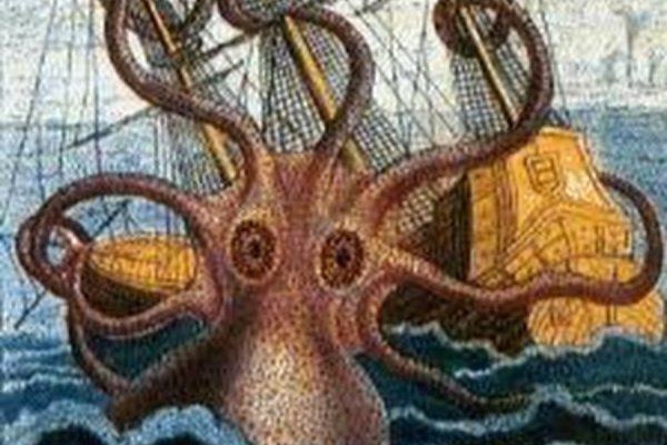 Kraken network