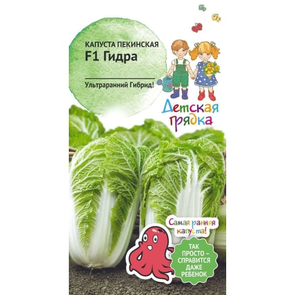 Ссылка кракен через тор